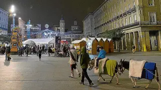 Los burros con sus alforjas por la plaza del Pilar en la edición de la muestra del año pasado.