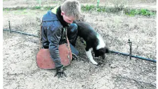 Héctor Vilas, de 10 años, que ya es un apasionado de la trufa, entrena a un perro joven.