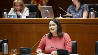 Natalia Salvo, directora del IAM, en una intervención en las Cortes