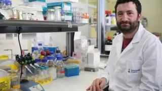 ?Ignacio Aguiló, en el laboratorio de la Facultad de Medicina de Zaragoza donde trabaja y se diseño la vacuna contra la tuberculosis.
