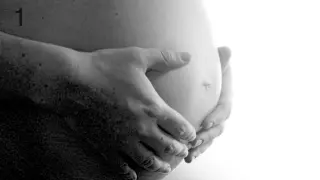 El nuevo ecógrafo permite adelantar en cinco semanas el diagnóstico de malformación durante el embarazo.