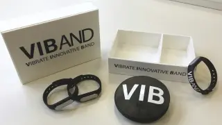 ViBand