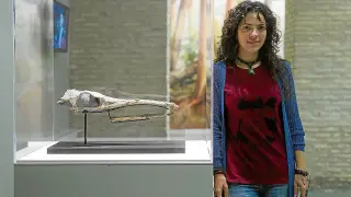 La investigadora Jara Parrilla junto a los restos fosilizados del cocodrilo encontrado junto al AVE.