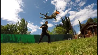 Un deporte de perros