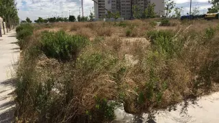 Los vecinos de Parque Venecia, cansados de pedir la limpieza de sus plazas