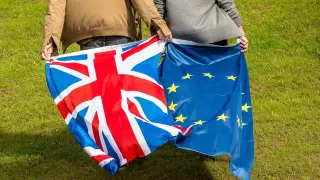 La UE busca calma y afianzar su supervivencia una semana después del 'brexit'