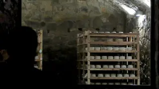 Cava de quesos inaugurada ayer por la empresa turolense Quesos Sierra de Albarracín.