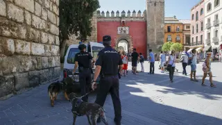 Policía patrullando por las calles de Sevilla.