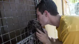 Iván Jiménez besa a uno de los perros del centro municipal de Zaragoza.