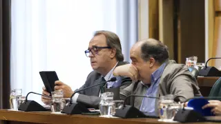 Pérez Anadón durante el Pleno del lunes.