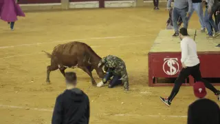 Saltos y emoción con las vacas de Santos Zapatería