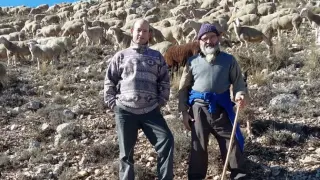 Ganaderos del sector ovino en Aragón