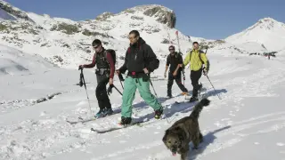Un grupo de esquiadores en el sector del Portalet, ayer en Formigal.