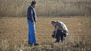 Fernando Bermadaus y José Antonio García observan los daños en un campo donde plantaron cereal, en Épila.
