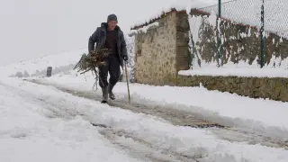 Un anciano carga con un haz de leña en Oncala, este invierno