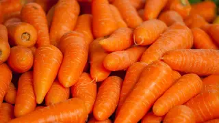 Zanahorias.
