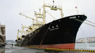 La flota ballenera japonesa a su regreso este viernes de la Antártida.