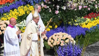 El papa Francisco, en la plaza del Vaticano este domingo de Pascua, rodeado de flores llevadas desde Holanda.