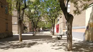 Excrementos en la zona entre los pabellones del Tío Jorge, en frente de la plaza de la Memoria Histórica.