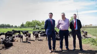 La Pardina llega a toda España  desde los mostradores de Auchan