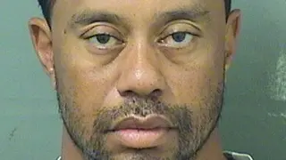 Foto policial de Tiger Woods.