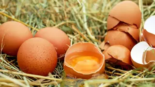 ¿Por qué flotan los huevos que no son frescos?