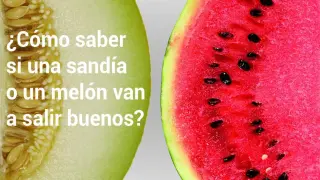 ¿Cómo saber si una sandía o un melón van a salir buenos?