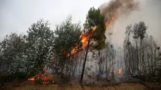 Incendio en Portugal.