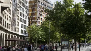 Ejemplares de gran porte. Vecinos de la zona Centro han advertido del aparente mal estado de este árbol de gran tamaño, ubicado en la plaza de Aragón, y han pedido al Ayuntamiento que garantice la seguridad.