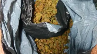 Se halló una caja de cartón con 1.466 gramos de cogollos de marihuana.