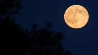 Una enorme Luna amarilla ilumina el cielo nocturno.