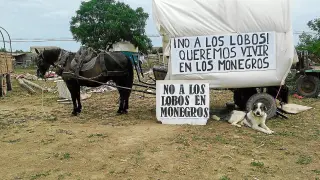 Una de las caravanas de Asociación Añoranza de apoyo a los ganaderos de los Monegros.