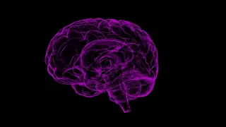 Las investigaciones actuales sobre la esquizofrenia se centran en tres células cerebrales.