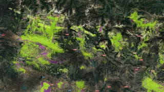 Mapa de cobertura del Pirineo.