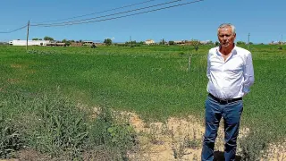 Piero Pini, propietario del grupo empresarial, en los terrenos donde se levantará el macromatadero.
