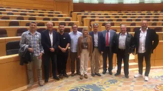 El Comité Eléctrico de la térmica se reunió ayer con representantes del PSOE en el Senado.