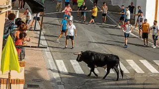 El estreno del toro ensogado en Pedrola.
