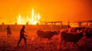 Varios incendios azotan el centro y norte de Portugal.