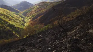 Zona afectada por el fuego en Galicia.