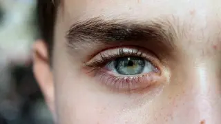 Unas cejas frondosas sobre unos bonitos ojos verdes.