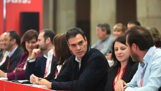 Pedro Sánchez este sábado en el Consejo Federal del PSOE.