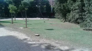 Parque de Valsameda, donde se aprecian los árboles talados