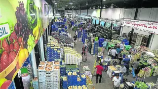 Intensa actividad en el mercado central de frutas y hortalizas de Mercazaragoza.