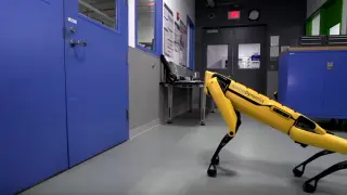 El perro robot, SpotMini