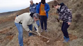 Fin de semana de plantaciones en la comarca de Tarazona y el Moncayo