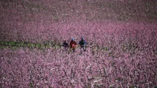 Senderistas atravesando los campos de frutales.