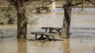 El entorno del Camino Natural del Ebro amaneció ayer inundado en Novillas.
