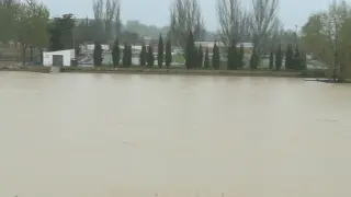 El Arba a su llegada al Ebro en Gallur inunda el campo de fútbol