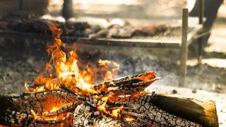 Cocinar sobre un fuego de leña humeante deposita HPA de la leña en la carne