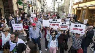 Los manifestantes, en la calle de Alfonso I, portando carteles con los nombres de municipios turolenses.